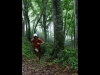 �ѥ����˥��Υ���Х��������ȥ쥤����˥󥰥졼����ץ��ǥ塼��