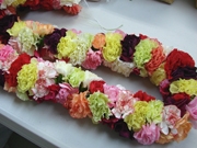 �ջ��Υե��ǥ����ʡ���������ޥ饽��2008�פΥ쥤������