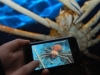 ��iPod touch�פ����Ѥ��ƴ��⸫�ءݿ��������²��