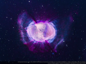 特集｜天（そら）を観る
Vol.3　 M27 亜鈴星雲（夏～初秋）