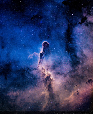 特集｜天（そら）を観る　
Vol.4　 IC1396 象の鼻星雲（夏～初秋）